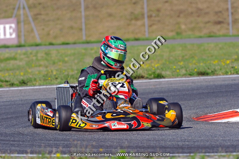 DSC_ (1110).jpg